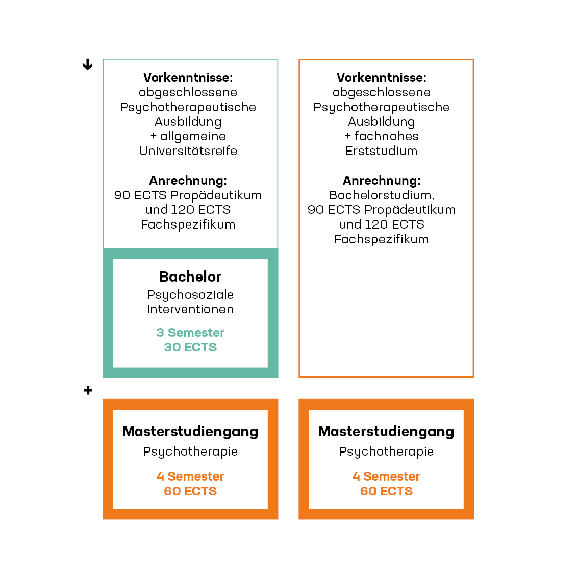 Grafik: mögliche Ausbildungswege