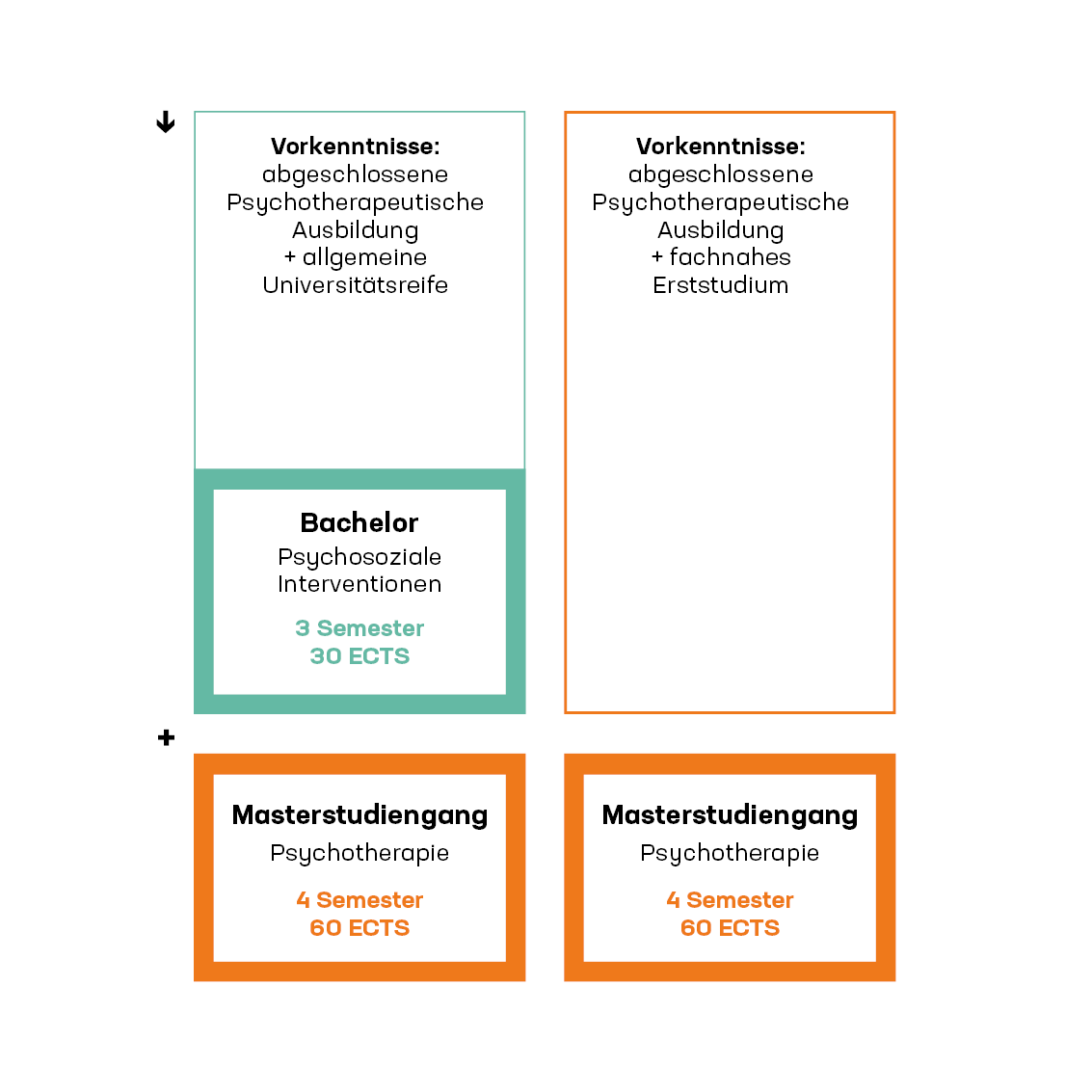 Grafik: mögliche Ausbildungswege