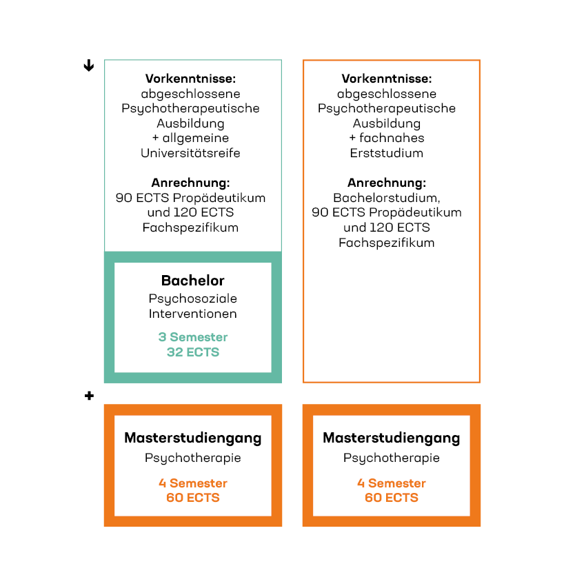 Grafik: mögliche Ausbildungswege